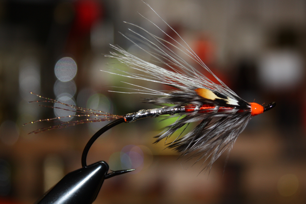 Silver Jungle Salmon